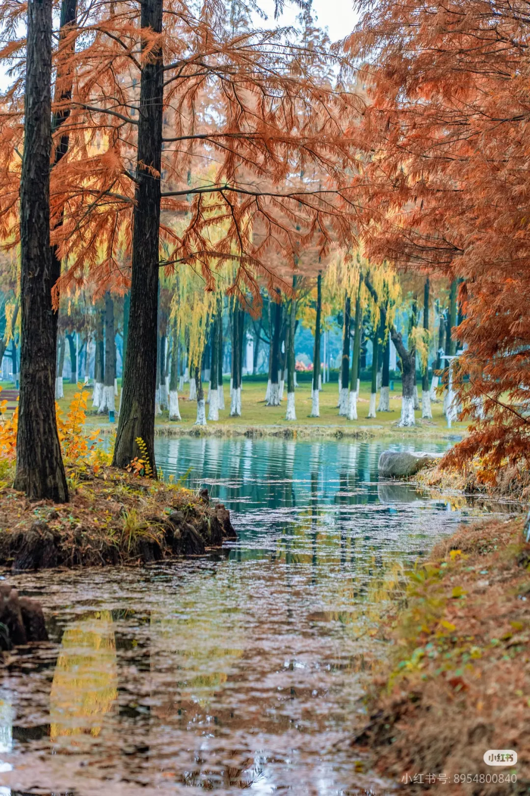 03f0c4de3b03274d3502632e0e0d32a2-sz_2453029