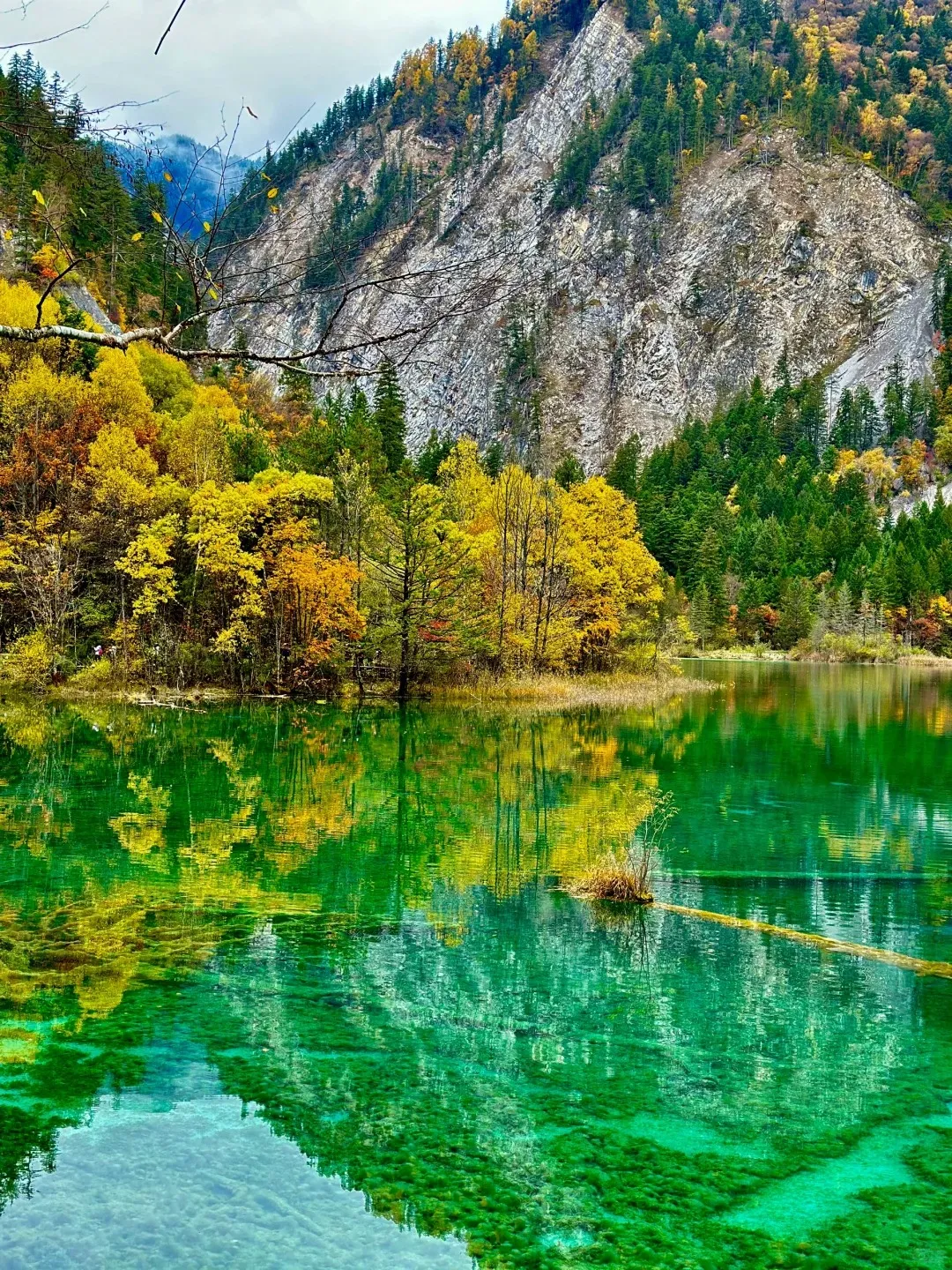 0447aae171b7876cf37b39a2629e19a2-sz_862341-2 0447aae171b7876cf37b39a2629e19a2-sz_862341-2