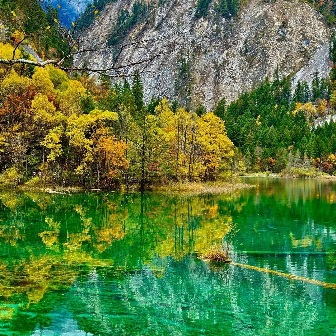 0447aae171b7876cf37b39a2629e19a2-sz_862341 0447aae171b7876cf37b39a2629e19a2-sz_862341