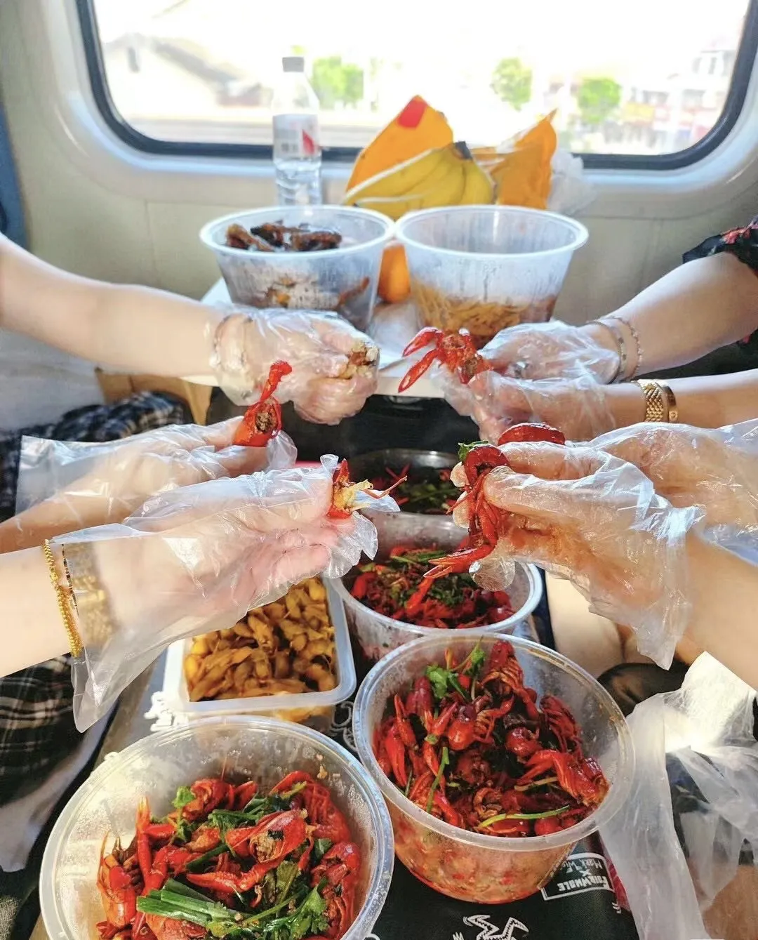 0480e4d3d15a2e1fcee2ae4e593ff07f-sz_428605