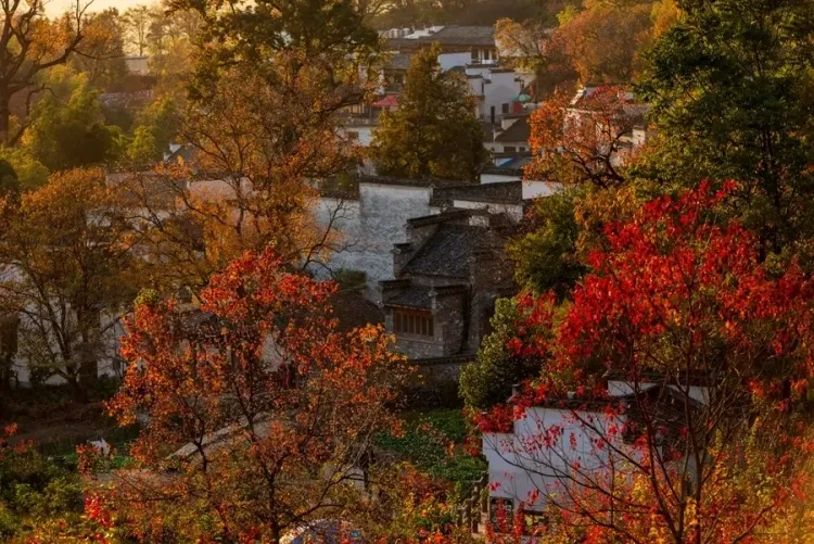 048658bc655c52c009b2e4e8ae365148-sz_1210107-2 048658bc655c52c009b2e4e8ae365148-sz_1210107-2