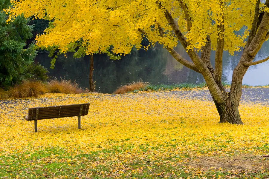 04c75558ac8c782943e245bd07aec466-sz_827301