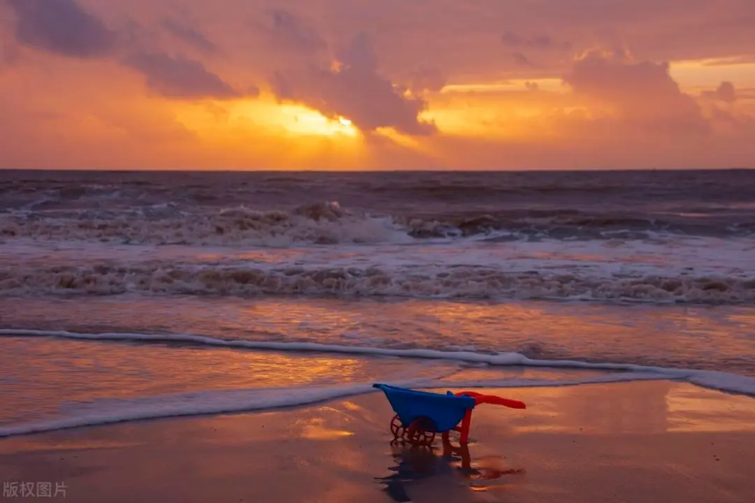 04dd1f76c8d2deb448a85727b2db9668-sz_83796