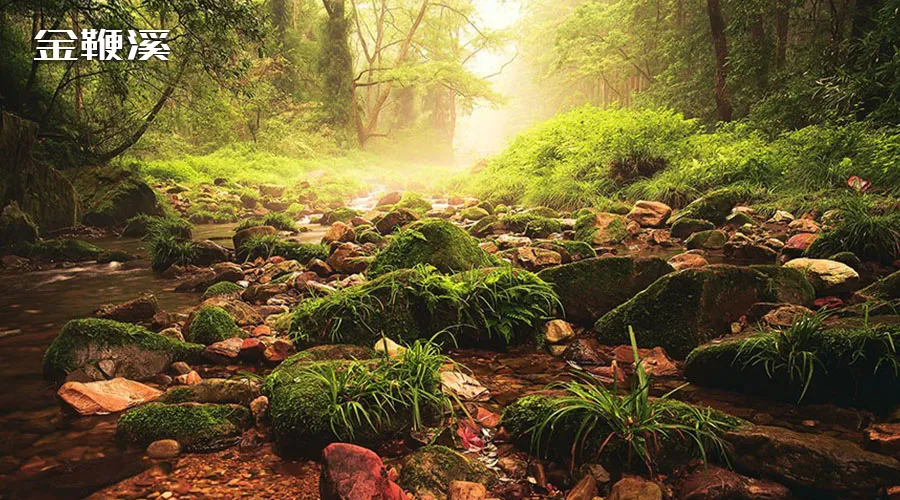 05b85a5230158ea75253d568b00f7ac6-sz_214785-1 05b85a5230158ea75253d568b00f7ac6-sz_214785-1