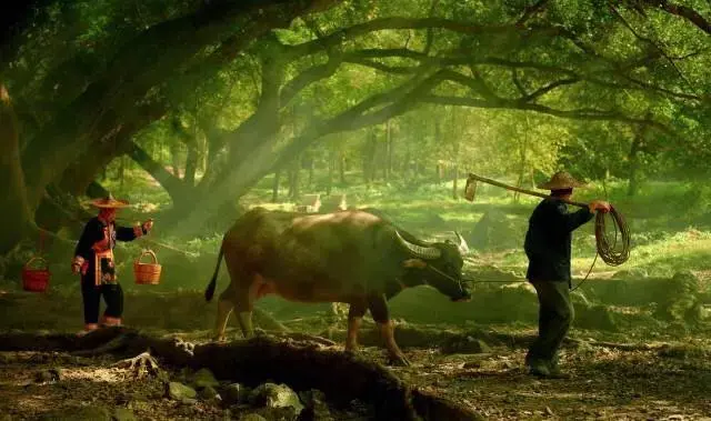 05c11dd720314b2fcc6d091f23db57ab-sz_46540 05c11dd720314b2fcc6d091f23db57ab-sz_46540