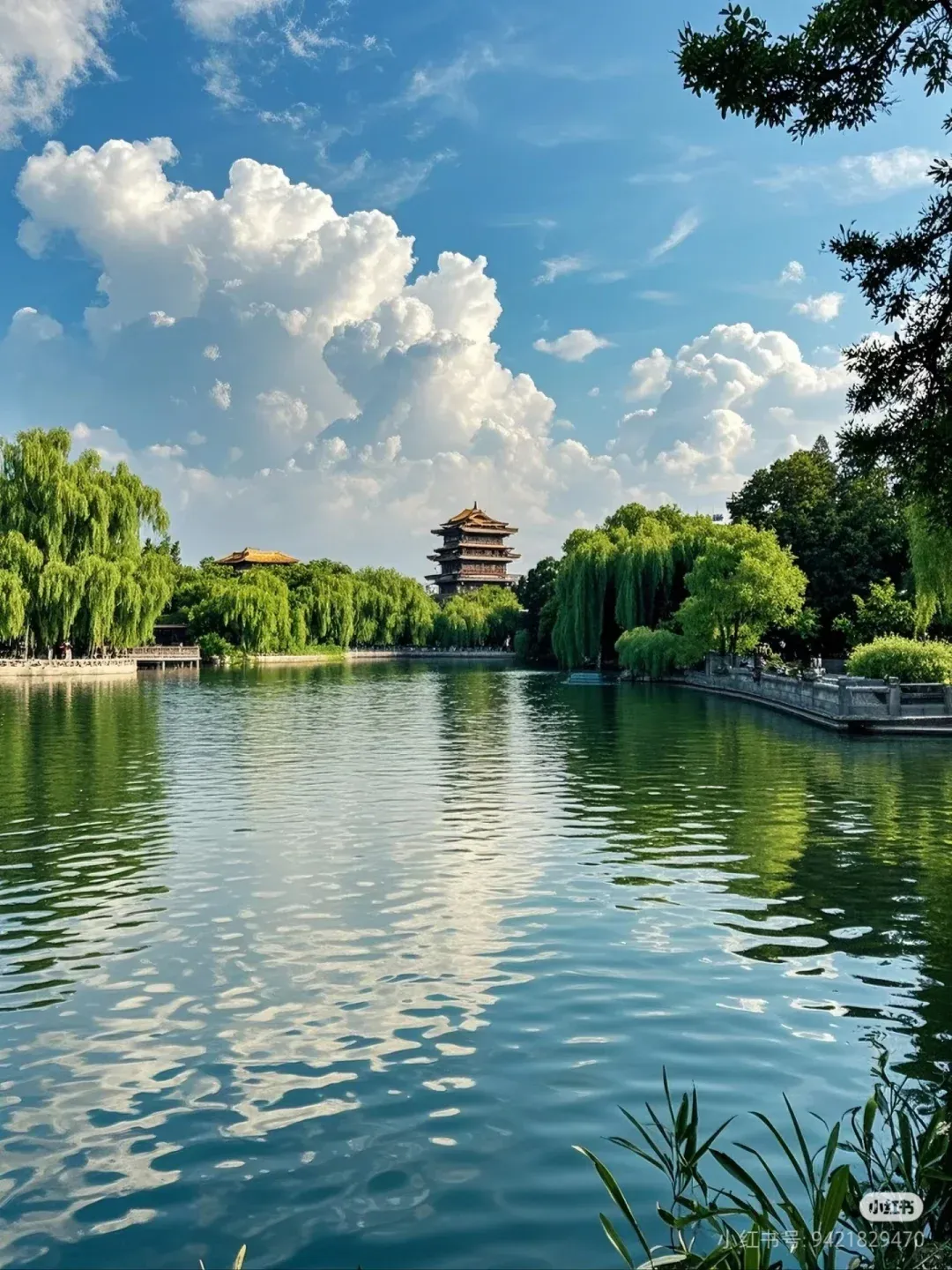 069162e71d81fb25f15969653fc8f599-sz_3017768 069162e71d81fb25f15969653fc8f599-sz_3017768