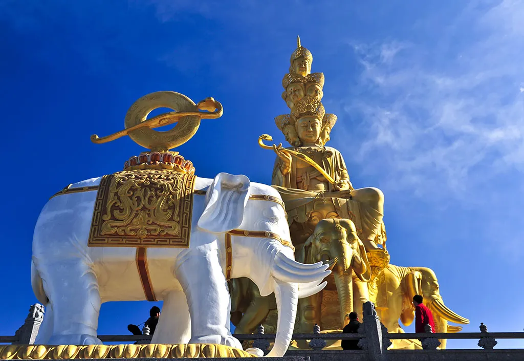 0695e70b89f33acd642f1b3a53c28677-sz_180455-1