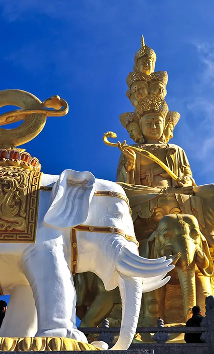 0695e70b89f33acd642f1b3a53c28677-sz_180455-2