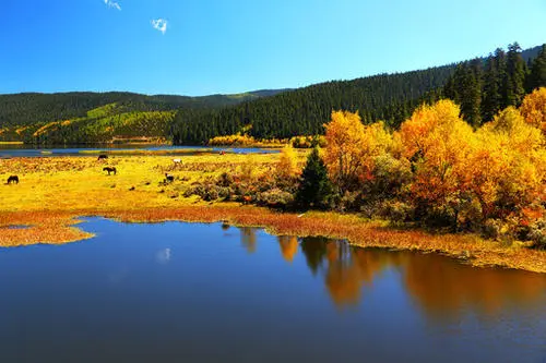 06f23d721db49867703e18665e6fc95d-sz_41943 06f23d721db49867703e18665e6fc95d-sz_41943