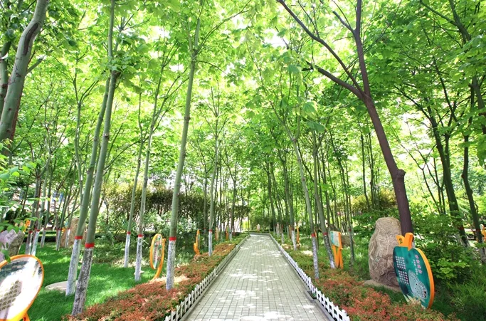 071a9af7cdb294d13d25ae67a837272a-sz_865305