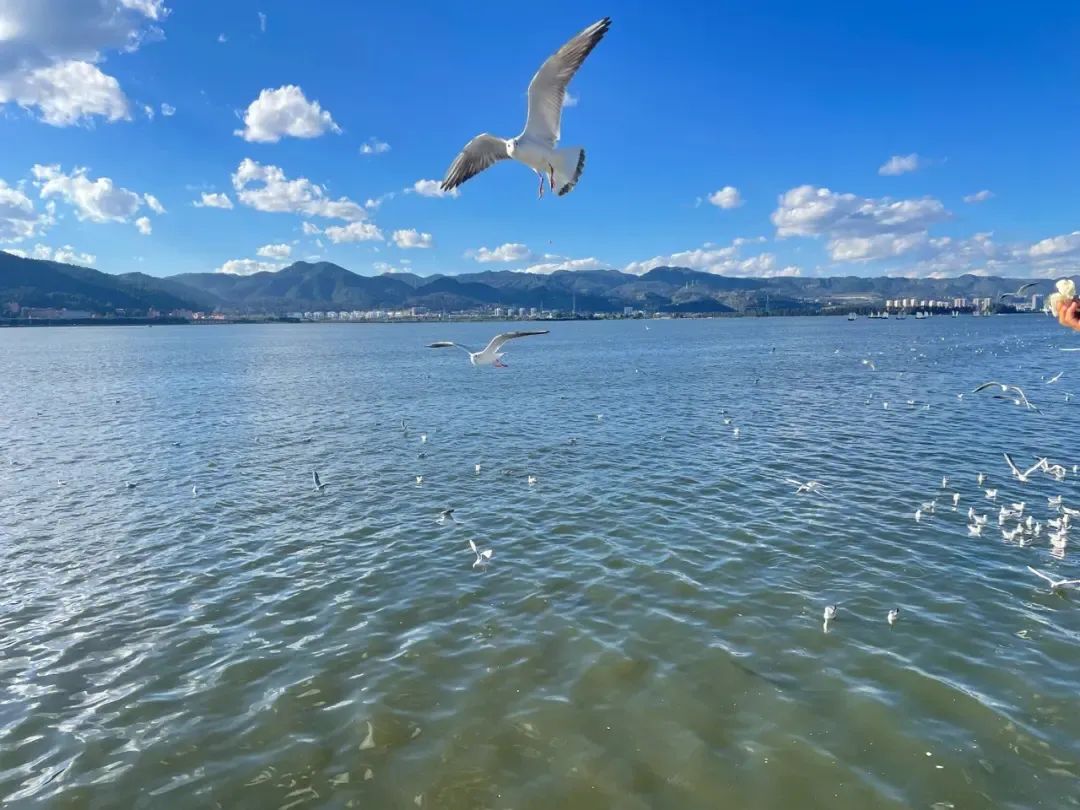 073aee2007bfdcd5c3c69fb80c999059-sz_1621533