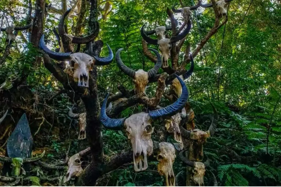 074402b1a250a7f6b31a1c08bdd458bb-sz_173867 074402b1a250a7f6b31a1c08bdd458bb-sz_173867