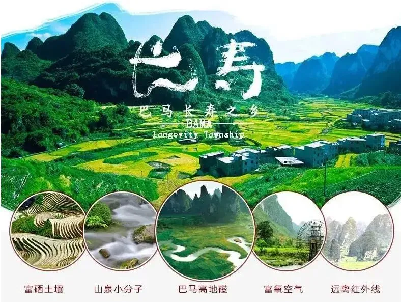 075eb612e84bf29983b0552e7d0202d8-sz_119027 075eb612e84bf29983b0552e7d0202d8-sz_119027