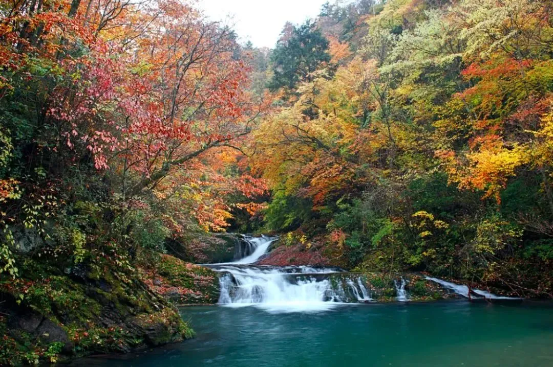 079d7e9f8840c08497ae5fd0c9f555b2-sz_213266