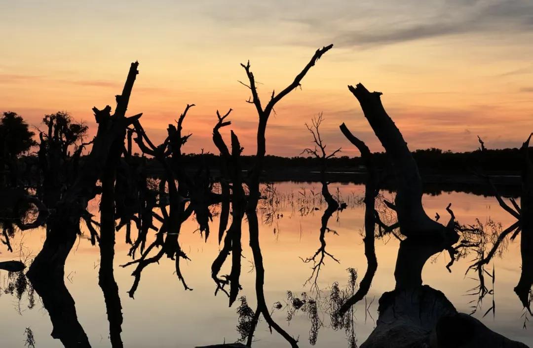 07f28924a151c9657ebe5a33c43e807d-sz_462831