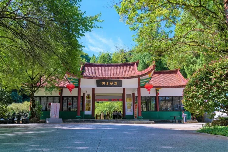 081ed80c04bceb55c1c8da3e56819adc-sz_614096