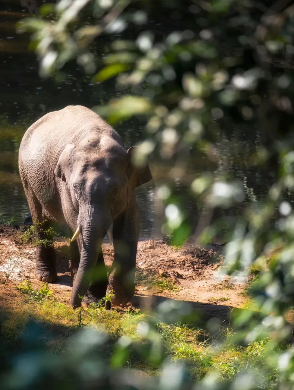 08814b7f64e6874ae9d91687ad11993b-sz_1225840