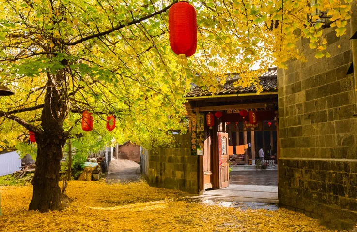 【腾冲+怒江+丙中洛+无量山+洱海双飞10日】这个云南最后的秘境，要抢先去看看吗？2+1大巴车，7晚4钻，吃高标准特色美食，火车价格飞机到昆明