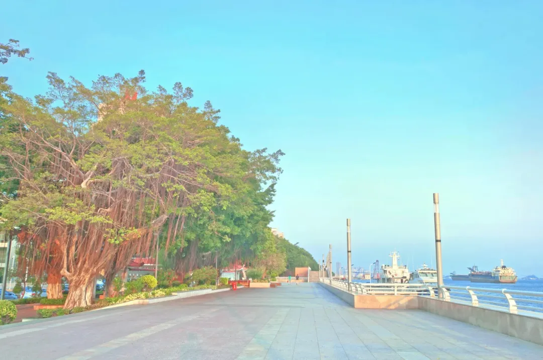 09059fa4a84bbd6db8fd8b118a3a1bb9-sz_830228 09059fa4a84bbd6db8fd8b118a3a1bb9-sz_830228