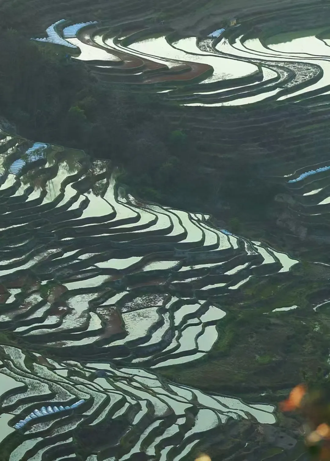 0910dc2602c9aeb7050b689bf5b33971-sz_455334 0910dc2602c9aeb7050b689bf5b33971-sz_455334