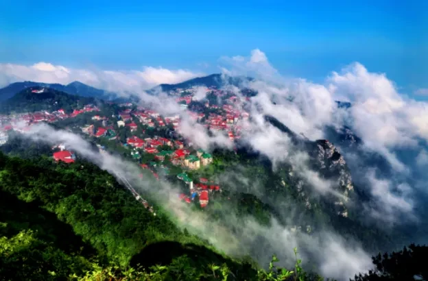 09594a7fde56e1712aba10858b7e11a6-sz_414512