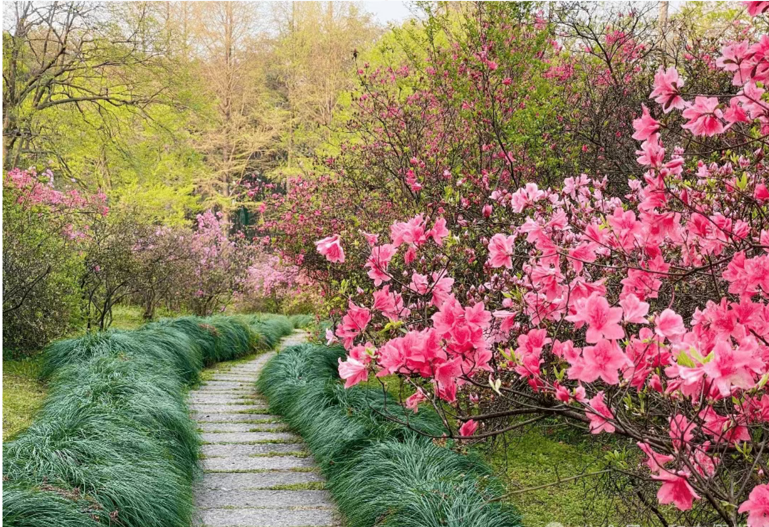 09601324d359f158cc9a5f2d646b4b71