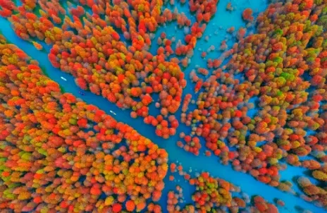 0993cd5b678da20d4b3d00c6250dff5e-sz_402516 0993cd5b678da20d4b3d00c6250dff5e-sz_402516