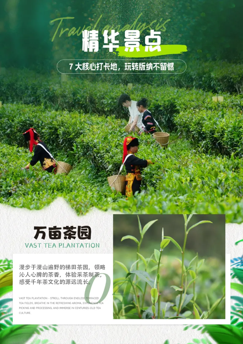 09b29e8f1ffee87fa631c8dc9f644473-sz_2185181 09b29e8f1ffee87fa631c8dc9f644473-sz_2185181