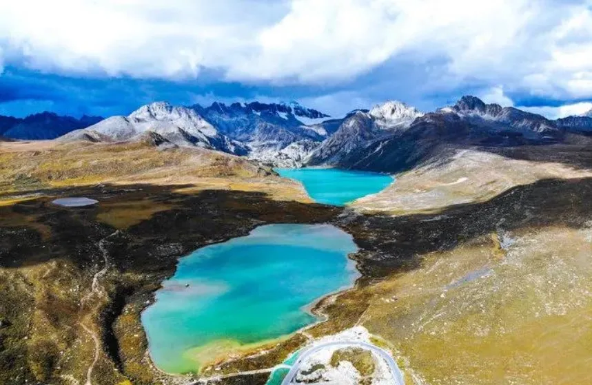 09b309a84476c8ce2771ea5d000a2094-sz_137993