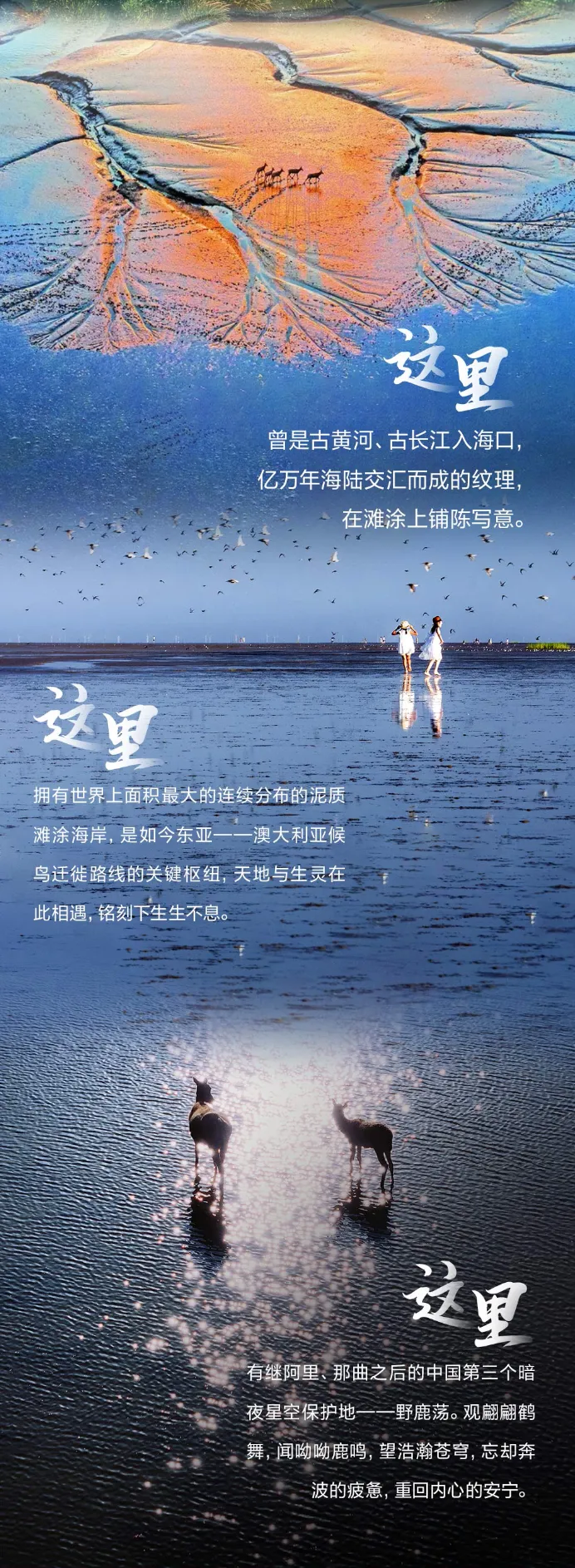 0a1a38554218f8bf656547d46a9ee40c-sz_3299007