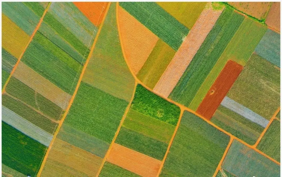 0abc7d965b3c5c6b9fc546c4aa0627e9-sz_189768-5 0abc7d965b3c5c6b9fc546c4aa0627e9-sz_189768-5