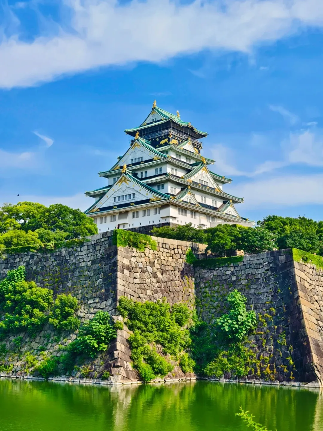 0b4b8e03787eb640452d6a00e92ca627-sz_480187 0b4b8e03787eb640452d6a00e92ca627-sz_480187