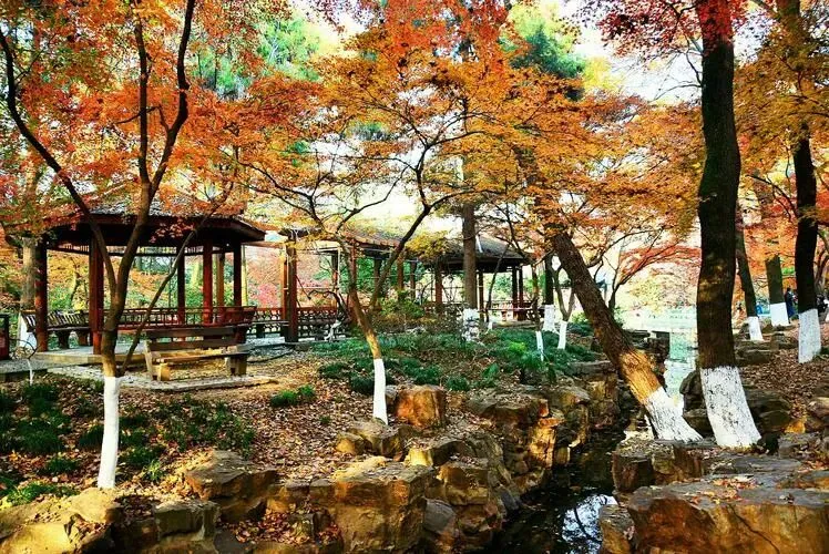 0b7bd8f9335a4d73934e73ea266e5c98-sz_163381 0b7bd8f9335a4d73934e73ea266e5c98-sz_163381