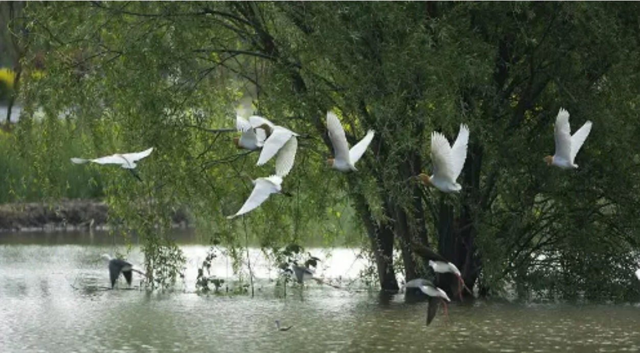 0b8f44982c99de9b235a3d7a7c96ed5f 0b8f44982c99de9b235a3d7a7c96ed5f