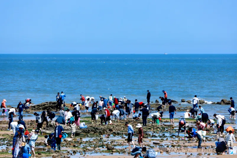 0bf1d6aa5730925bbada0e554eb2a78b-sz_769631 0bf1d6aa5730925bbada0e554eb2a78b-sz_769631