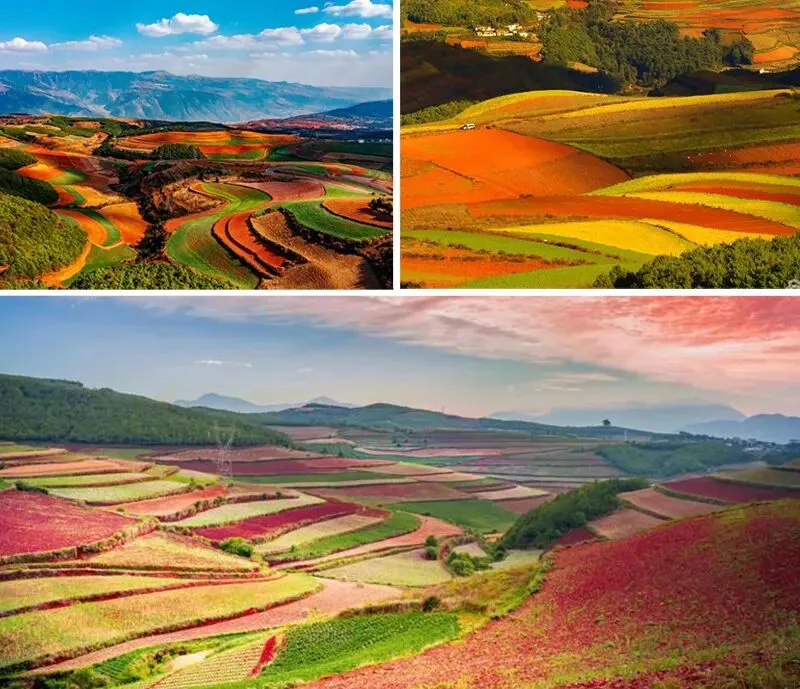 0c07d71bd50626c396fca3a76c31778c-sz_121021 0c07d71bd50626c396fca3a76c31778c-sz_121021