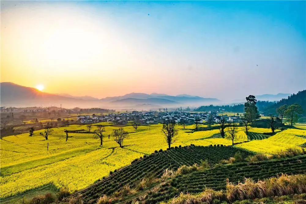 0c2876ea3c61434fd9f348c2e1e8490b-sz_926845 0c2876ea3c61434fd9f348c2e1e8490b-sz_926845