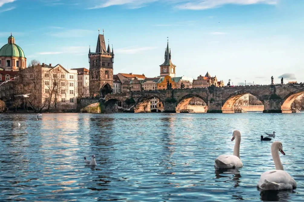 0c315e23ef2a2c79537653852aab6999-sz_226658 0c315e23ef2a2c79537653852aab6999-sz_226658