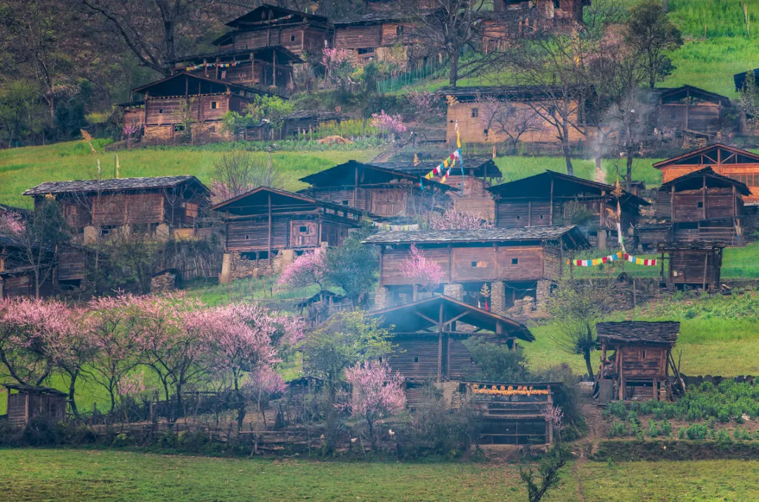 0c58913075f6043548ba1f4ac7ae678f-sz_558019 0c58913075f6043548ba1f4ac7ae678f-sz_558019