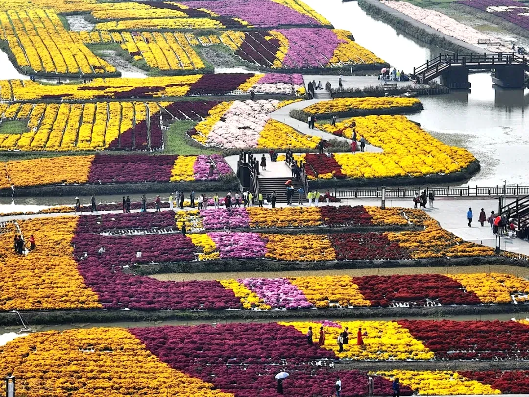 0c7720635b2c7f9dc77fb19974ee31c7-sz_1826808