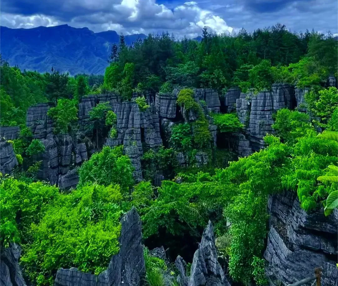 0c799440d0e3efcb7b6ad5b2ba9d8fae-sz_2516430-2 0c799440d0e3efcb7b6ad5b2ba9d8fae-sz_2516430-2