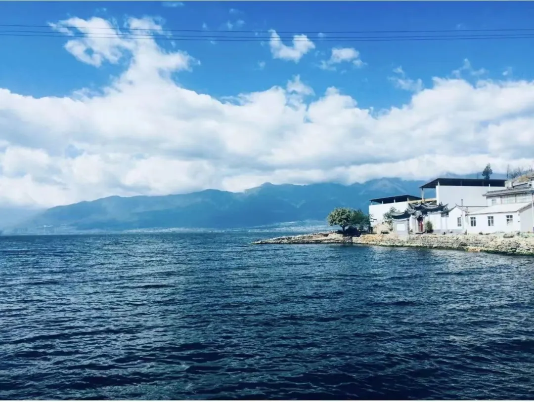 0cdc10935c4e8be333d1469244f35029-sz_202180