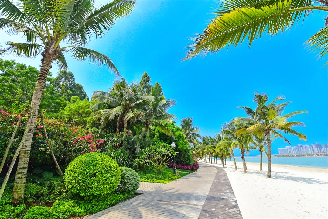 0d2650608c97b15bcd0f54d158784207-sz_679375-3 0d2650608c97b15bcd0f54d158784207-sz_679375-3