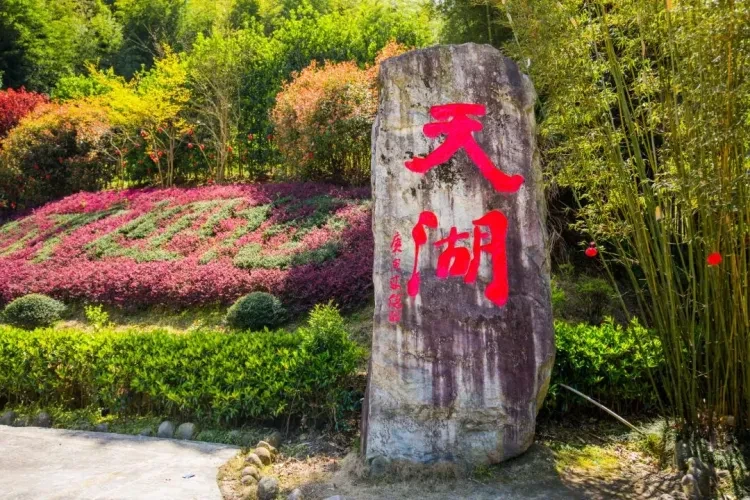 0d3d6e9b83eb3940ea1dbb4025eb1c2a-sz_270841-1 0d3d6e9b83eb3940ea1dbb4025eb1c2a-sz_270841-1