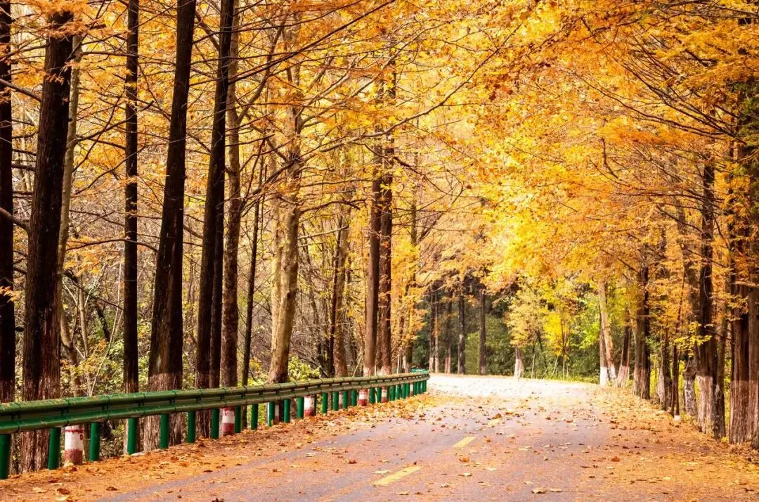 0d3f87b68372a9784dc4693e8cb6ea94-sz_279857