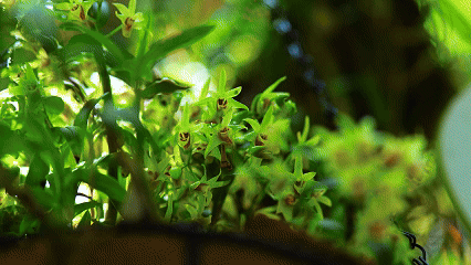 0d43597b4bac7d29340ffa9a043f9c9a-sz_5415708 0d43597b4bac7d29340ffa9a043f9c9a-sz_5415708