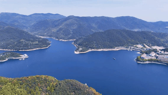 0da494bb51d28ebea9791eb809855608-sz_10158627