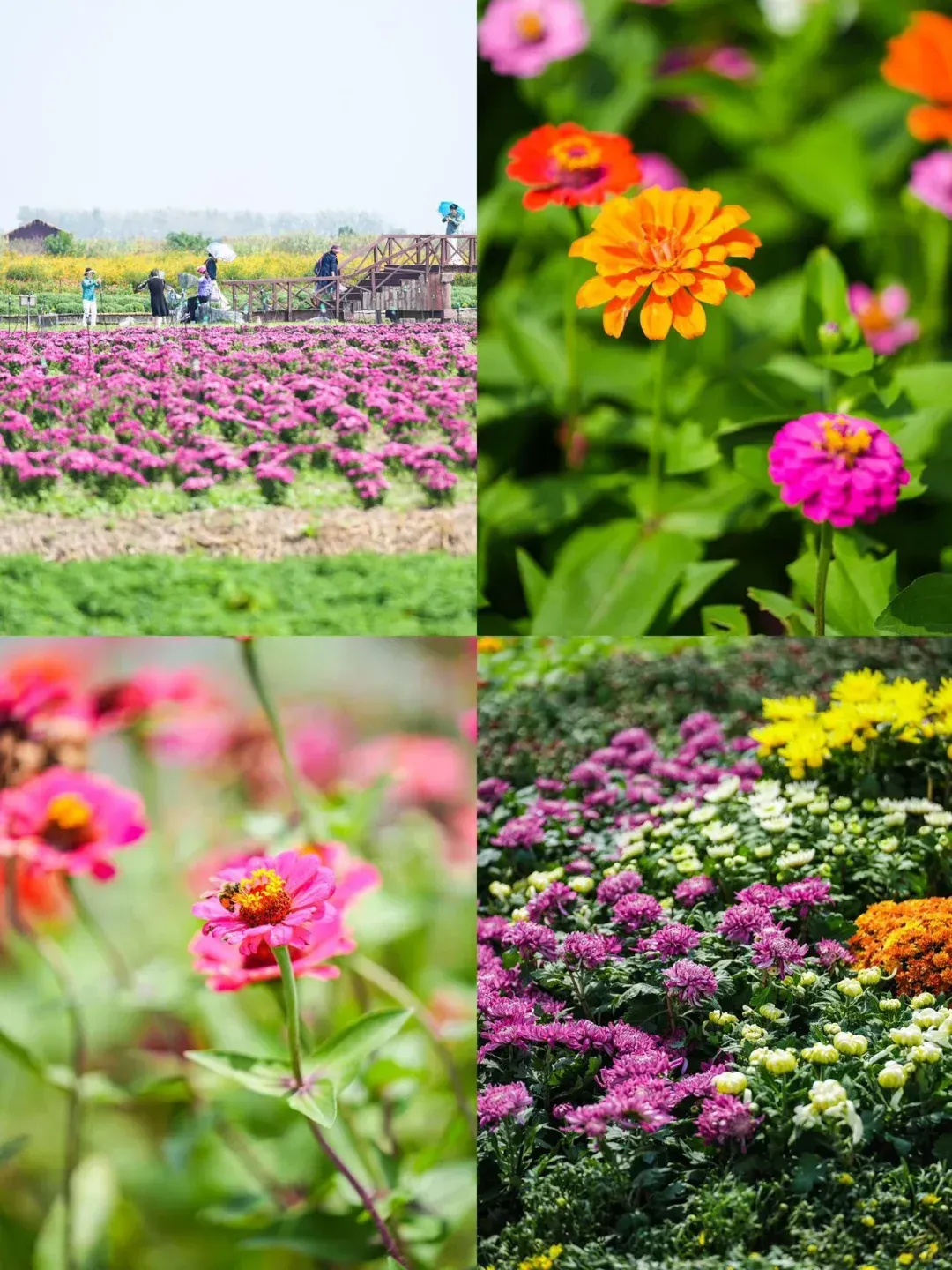 0e873e0e0d620eadbafe1023d0c75308-sz_3721887 0e873e0e0d620eadbafe1023d0c75308-sz_3721887