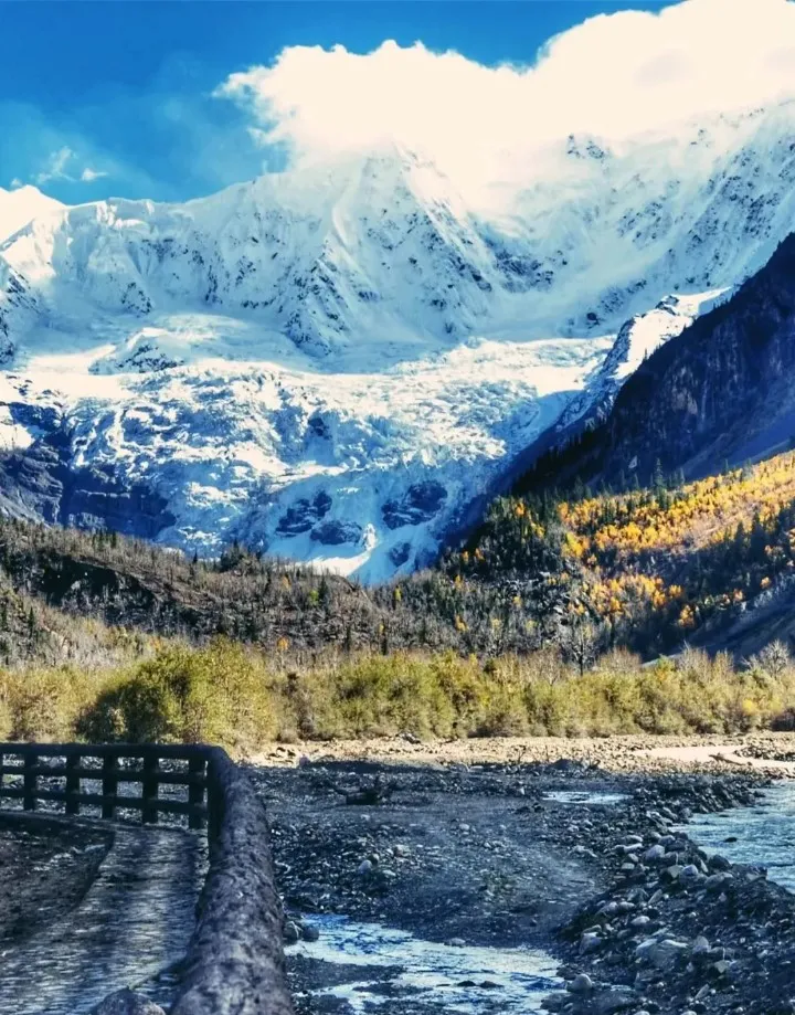 0ee54a33a72a74604bc25bb19d8aa867-sz_234331