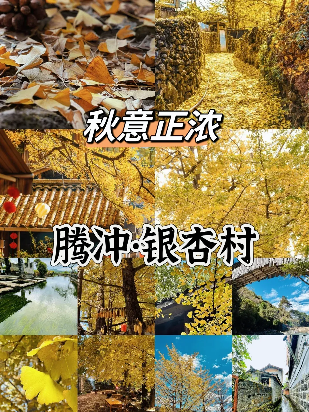 0ef0f709c98823389de3f8627adaa1fc-sz_4111158-2 0ef0f709c98823389de3f8627adaa1fc-sz_4111158-2